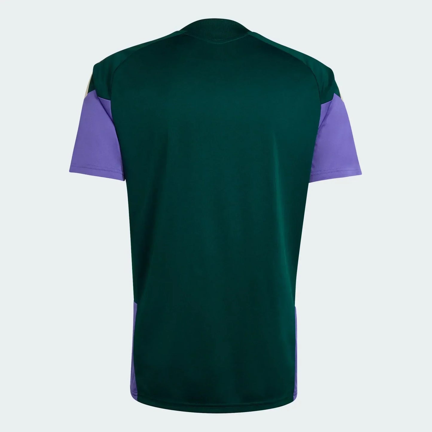 Camisa Arábia Saudita Treino 2026 - Torcedor Masculina