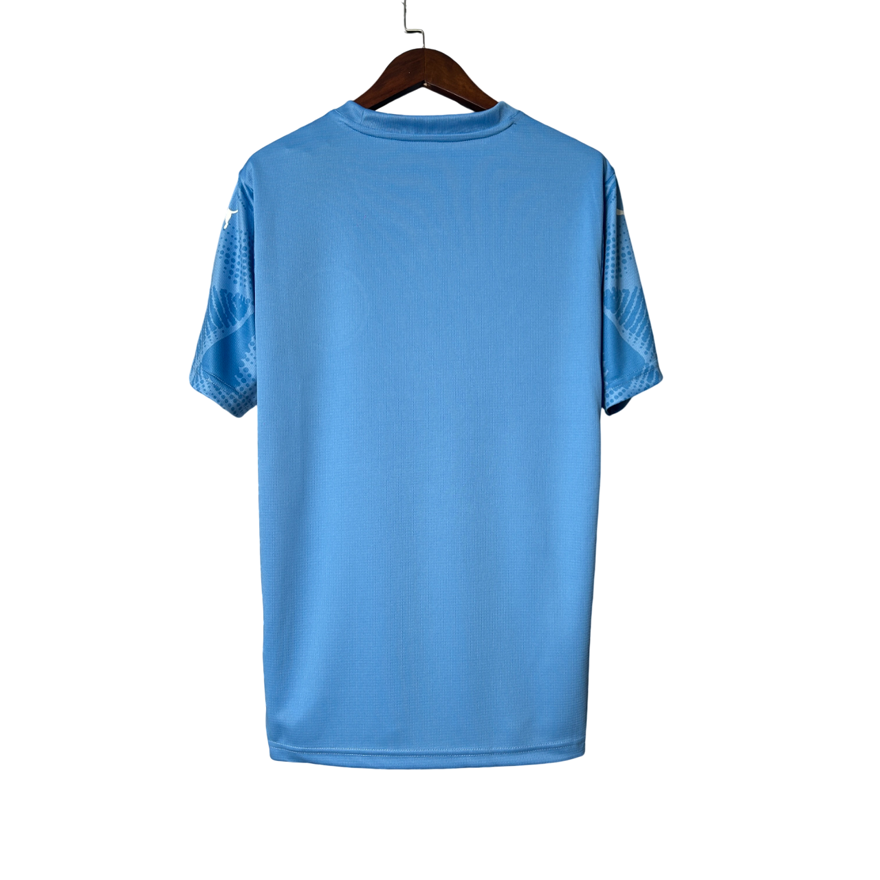 Camisa Palmeiras Goleiro 25/26 - Torcedor Puma Masculino - Azul