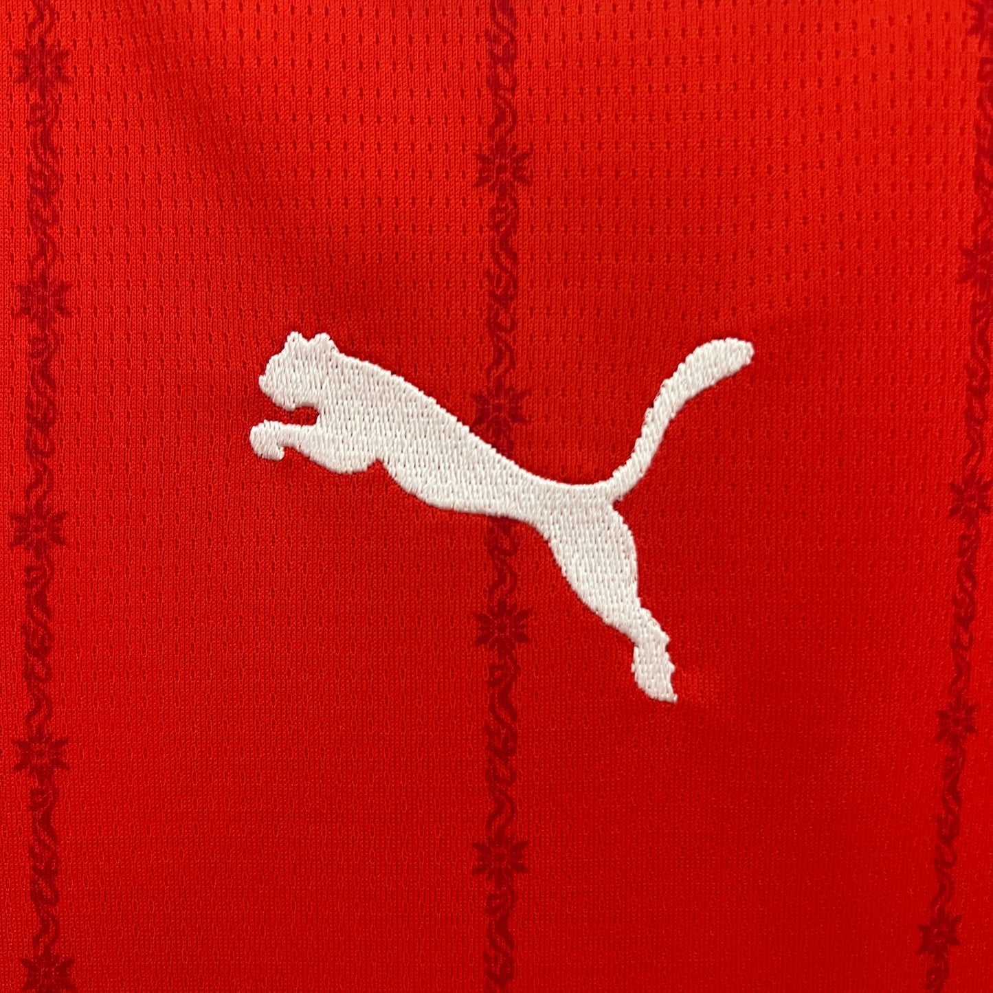 Camisa Suiça Home 24/25 - Torcedor Masculina Lançamento