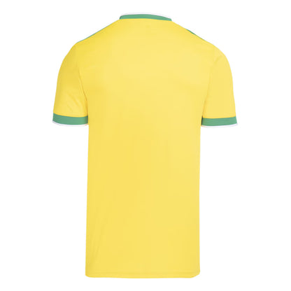 Camisa Cruzeiro 26/27 Verde Amarela Copa do Mundo Torcedor