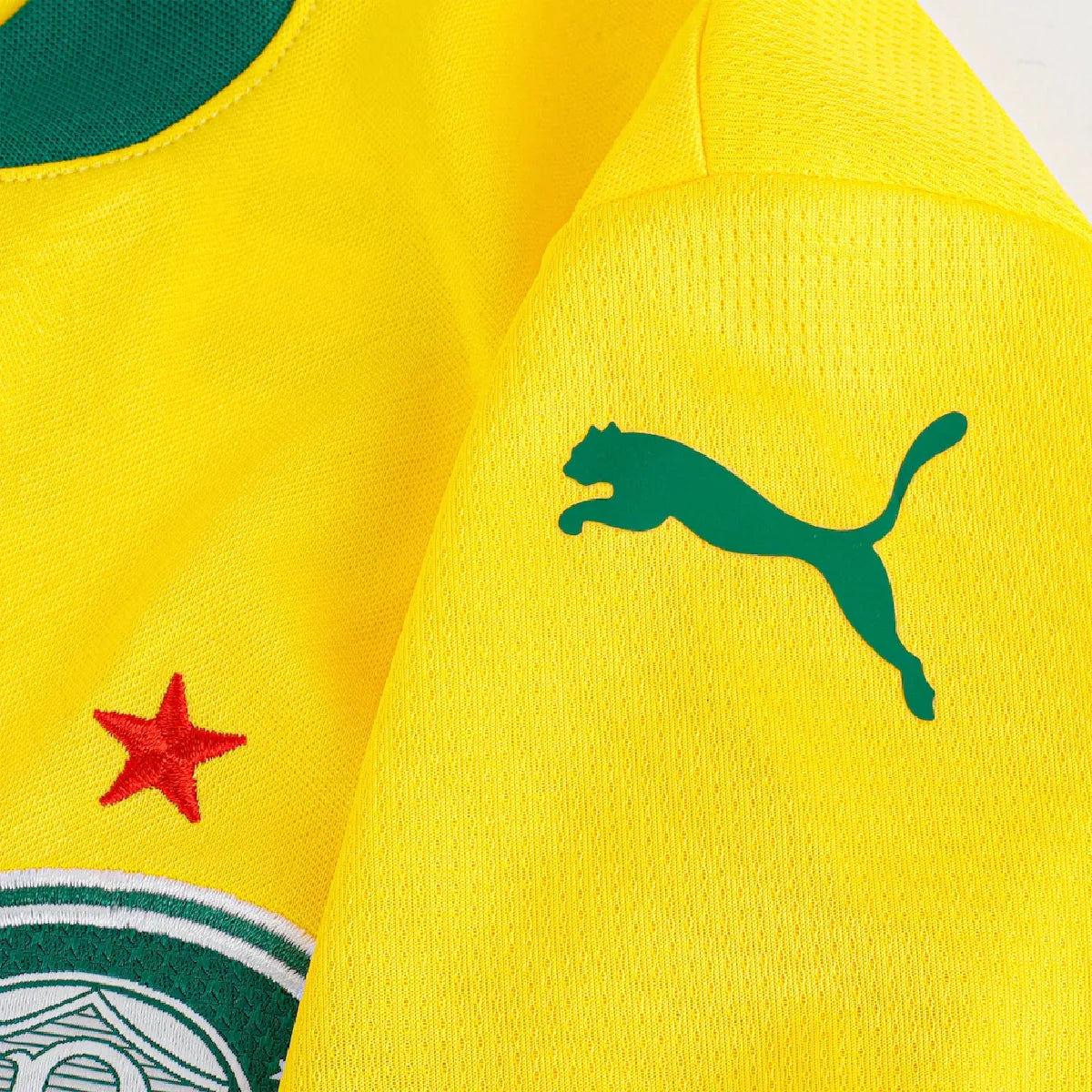 Camisa Palmeiras Third 25/26 - Feminina