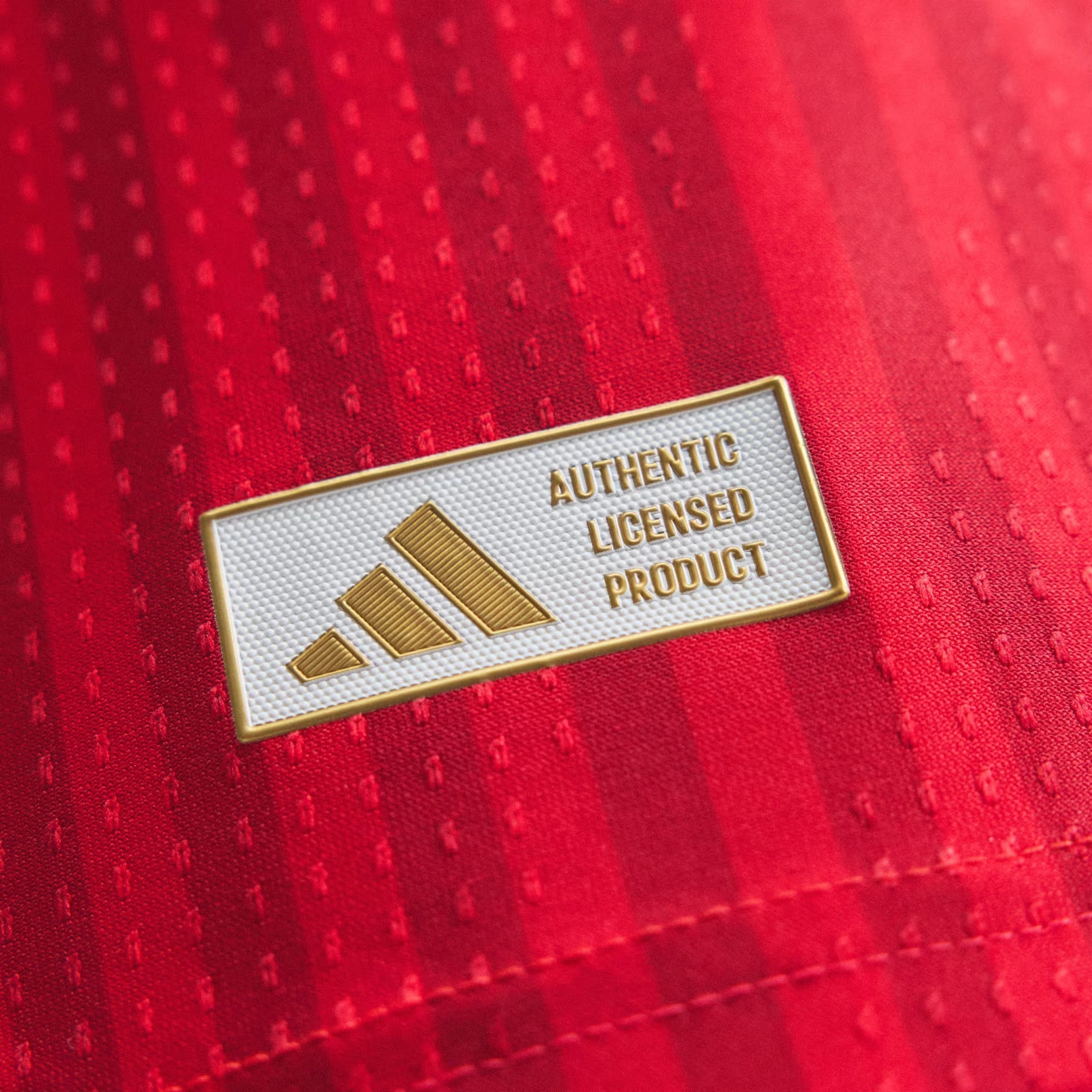 Camisa Bayern Munique Home 26/27 Jogador Foto 7