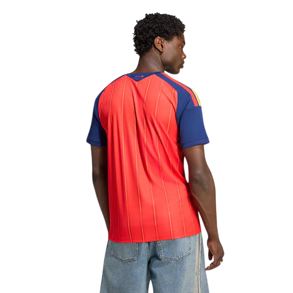 Camisa Espanha costas