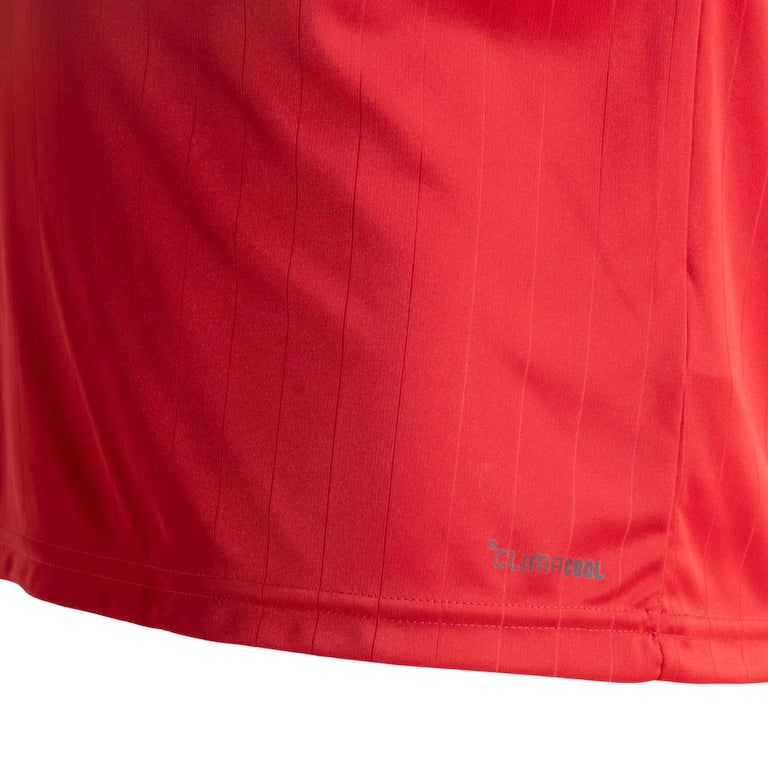 Camisa Internacional 2026/27 Home Torcedor