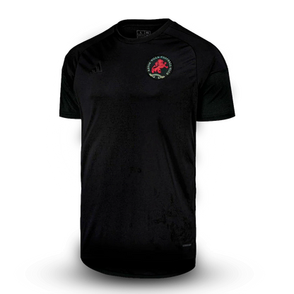 Camisa Aston Villa 25/26 Edição Especial 50 Anos Torcedor