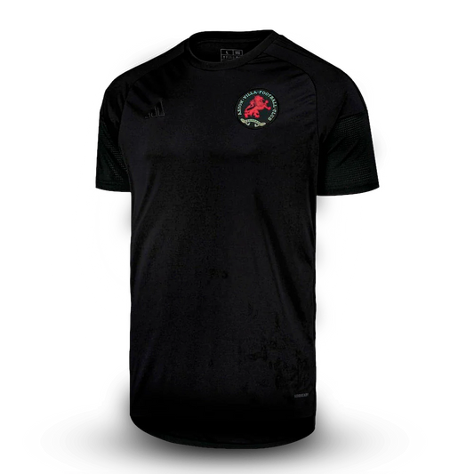 Camisa Aston Villa Edição Especial 50 Anos 25/26 - Adidas Torcedor Masculina Lançamento