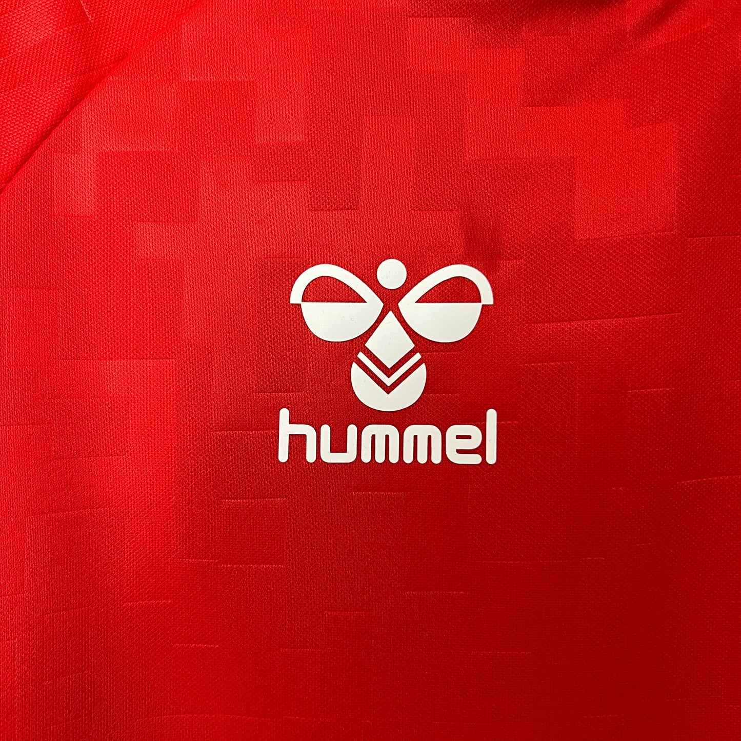 Camisa Dinamarca Home 24/25 - Torcedor Masculina Lançamento