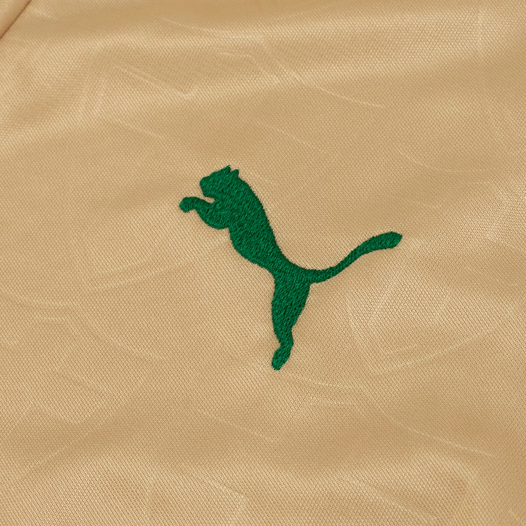 Camisa Palmeiras III 24/25 - Puma Feminina