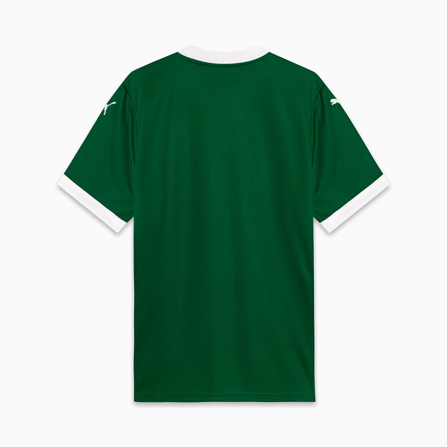 Camisa Palmeiras Home 25/26 - Puma Torcedor Masculina