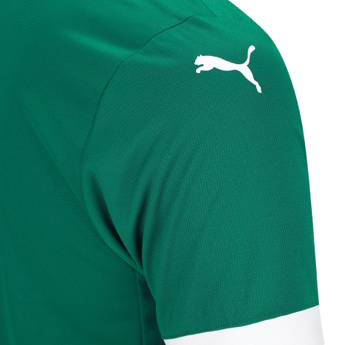 Camisa Palmeiras Titular 25/26 - Puma Torcedor Masculina Lançamento