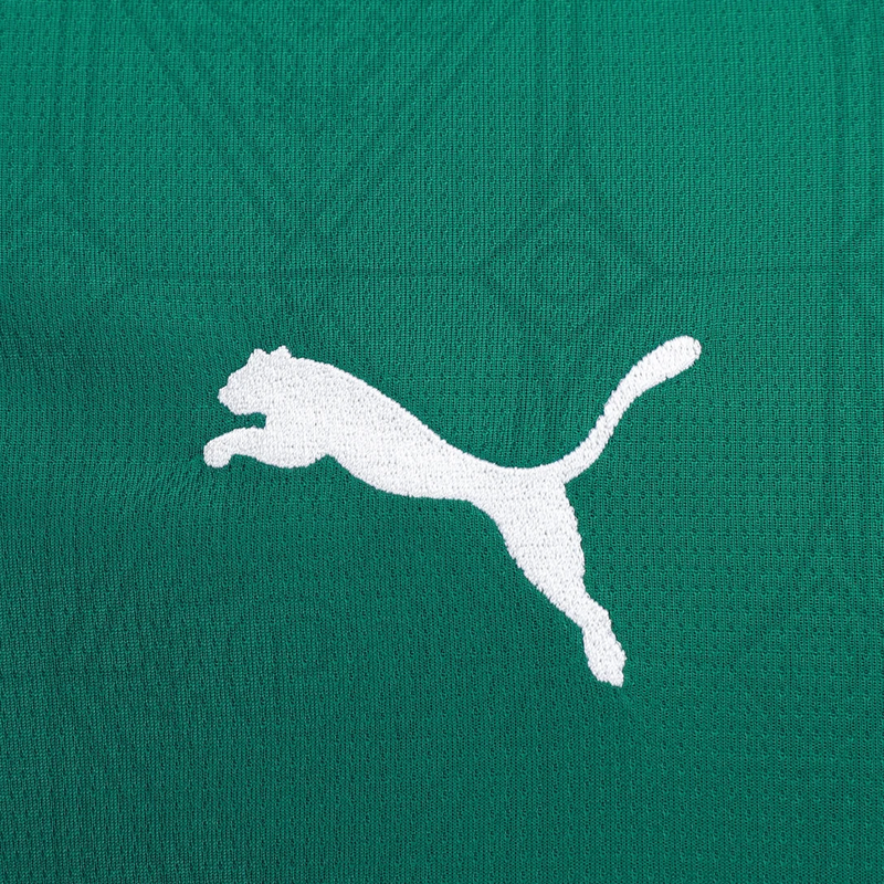 Camisa Palmeiras Titular 25/26 - Puma Torcedor Masculina Lançamento