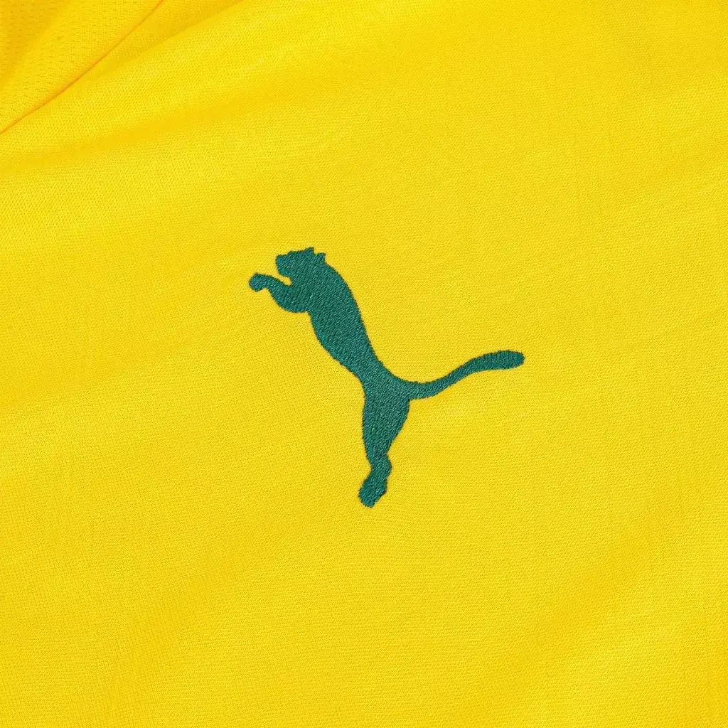 Camisa Palmeiras Third 25/26 - Torcedor Puma Masculina