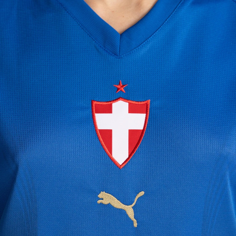 Camisa Feminina Palmeiras 2026/27 III [ PRÉ-VENDA]