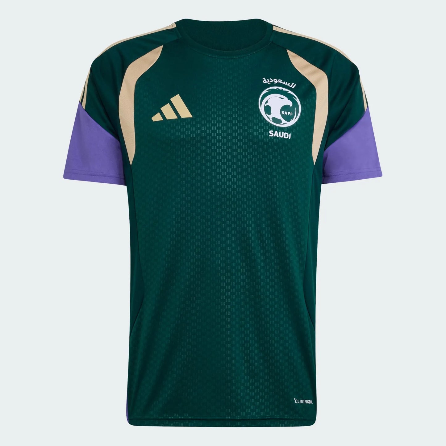 Camisa Arábia Saudita Treino 2026 - Torcedor Masculina