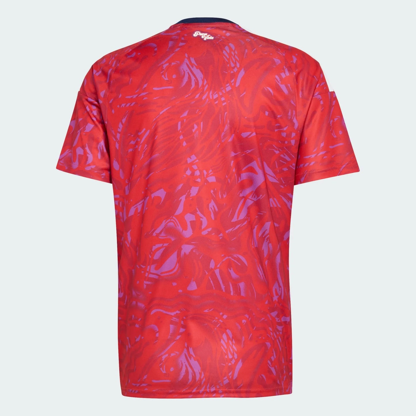 Camisa Costa Rica Home 2026 - Torcedor Masculina